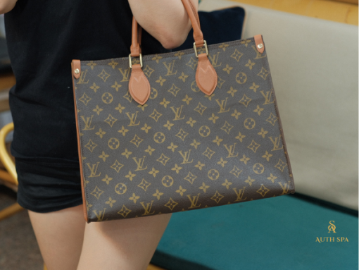 Tái Chế Túi LV Speedy Thành Túi Tote OntheGo - Ảnh 8